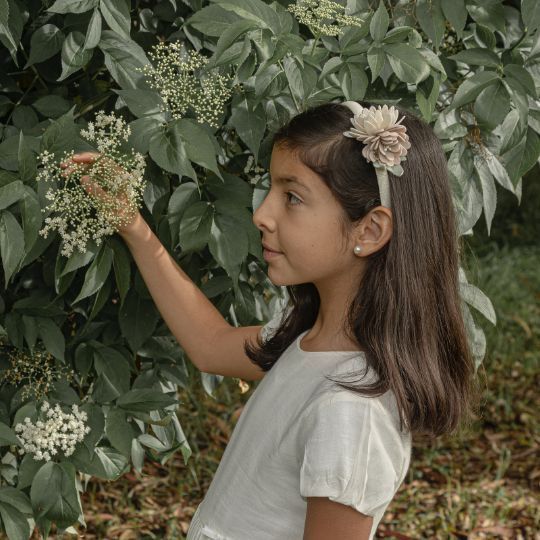 Diadema Spring