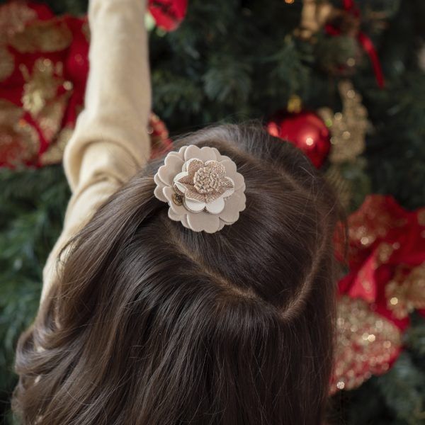 Hair Clip Shine