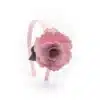 Palo de Rosa